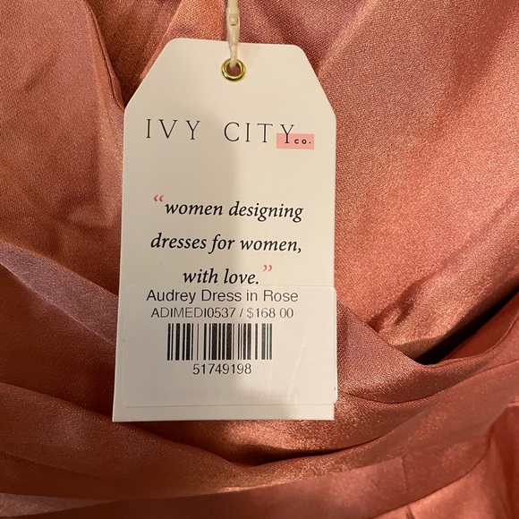 NWT Ivy City Audrey dress in Rose size medium, short sleeve midi zipper - Picture 4 of 6